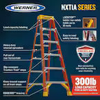 Werner NXT1A00 Series Fibreglass Ladders