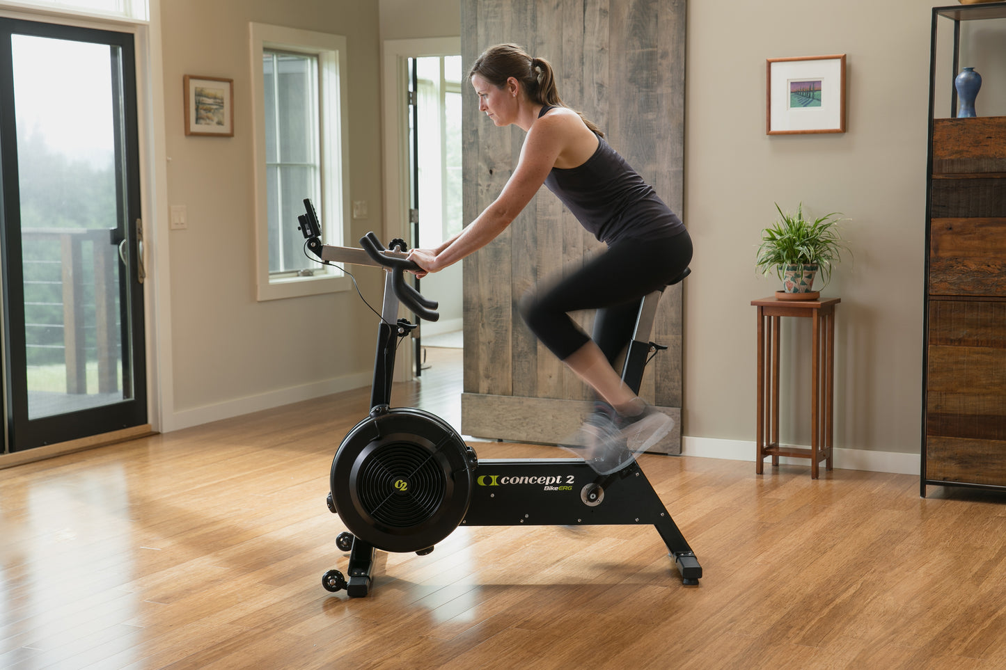 Concept 2 BikeErg®