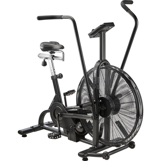 Assault Airbike Classic